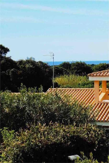 Appartamento vista mare - Stella Marina