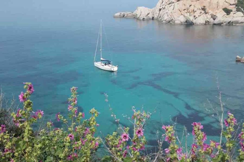 Appartamento vista mare - Stella Marina