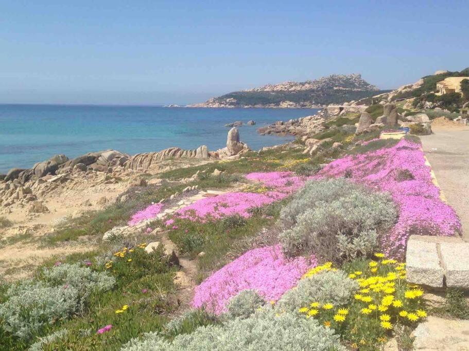 Appartamento vista mare - Stella Marina