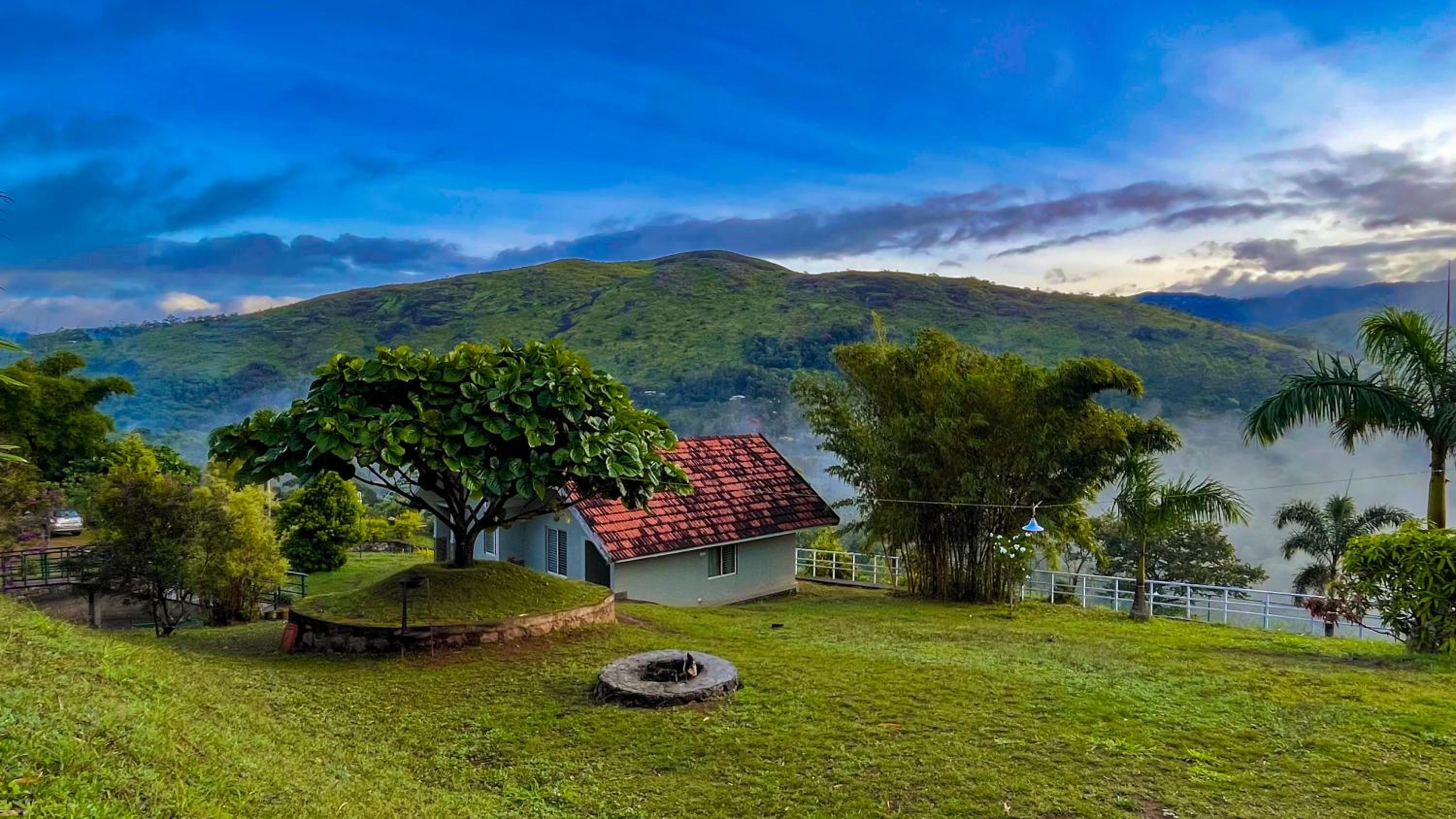 Elenor Cottages