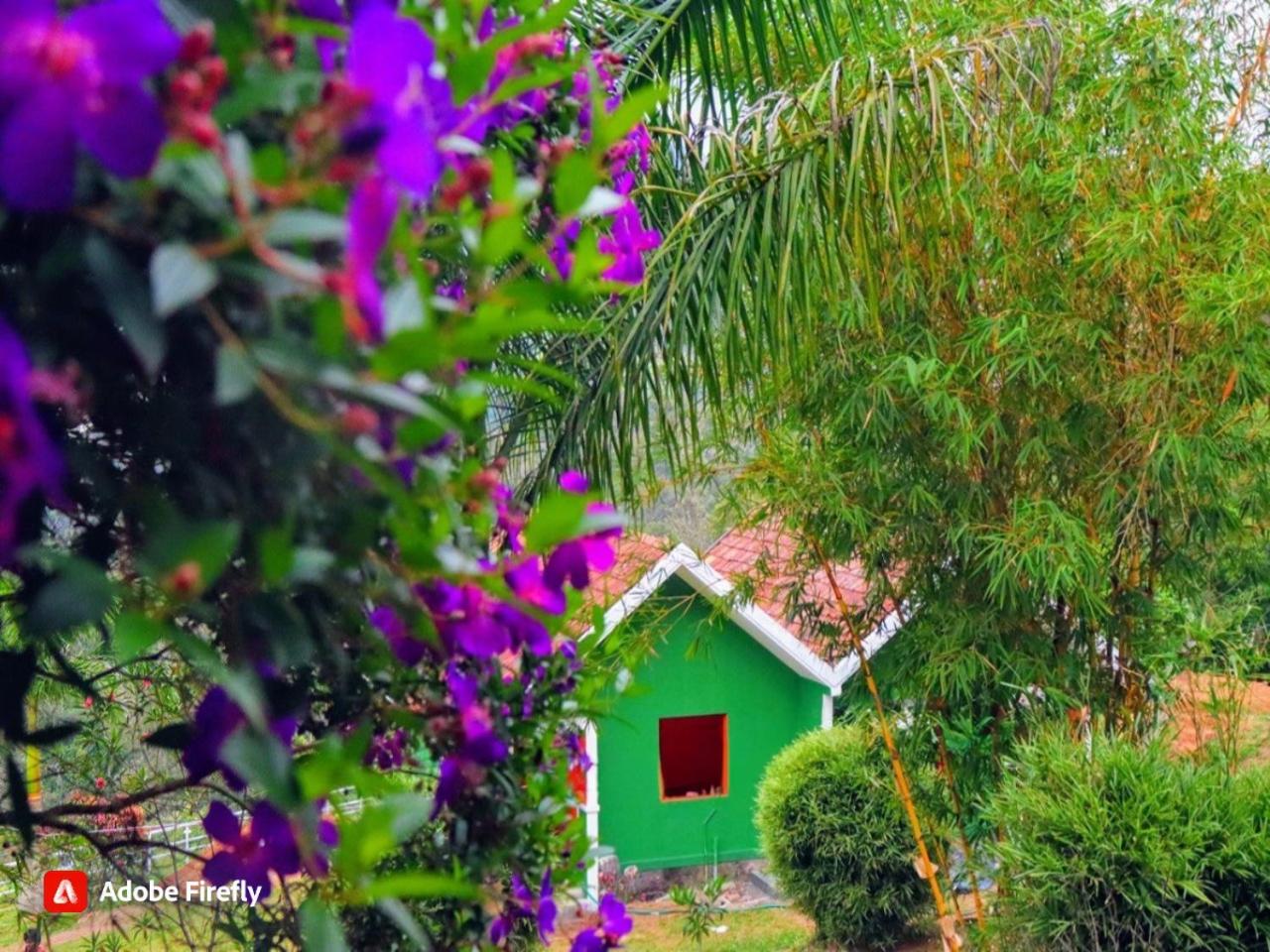 Elenor Cottages