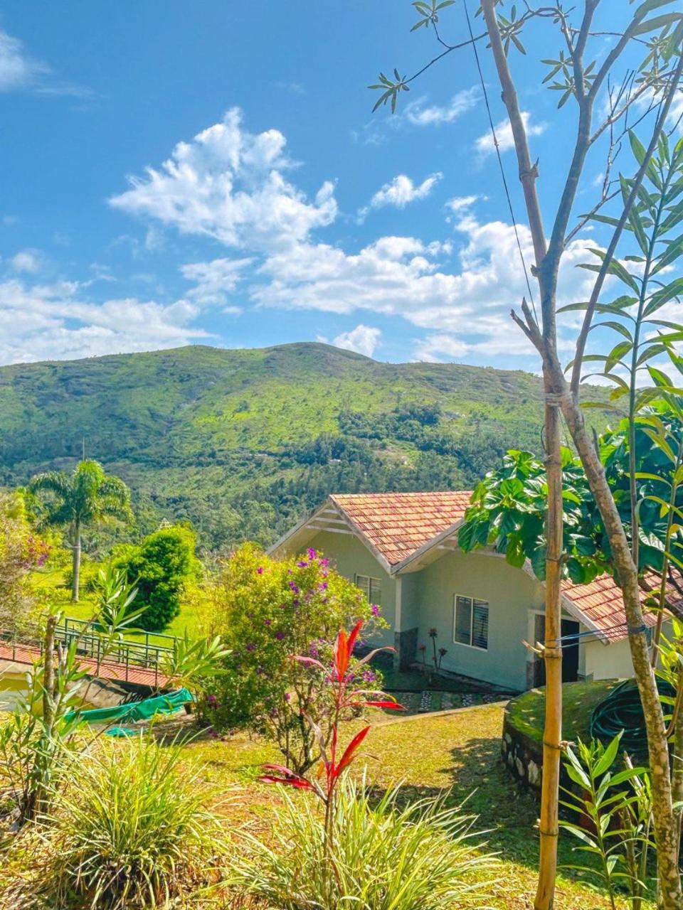 Elenor Cottages