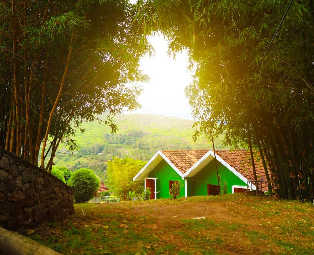 Elenor Cottages