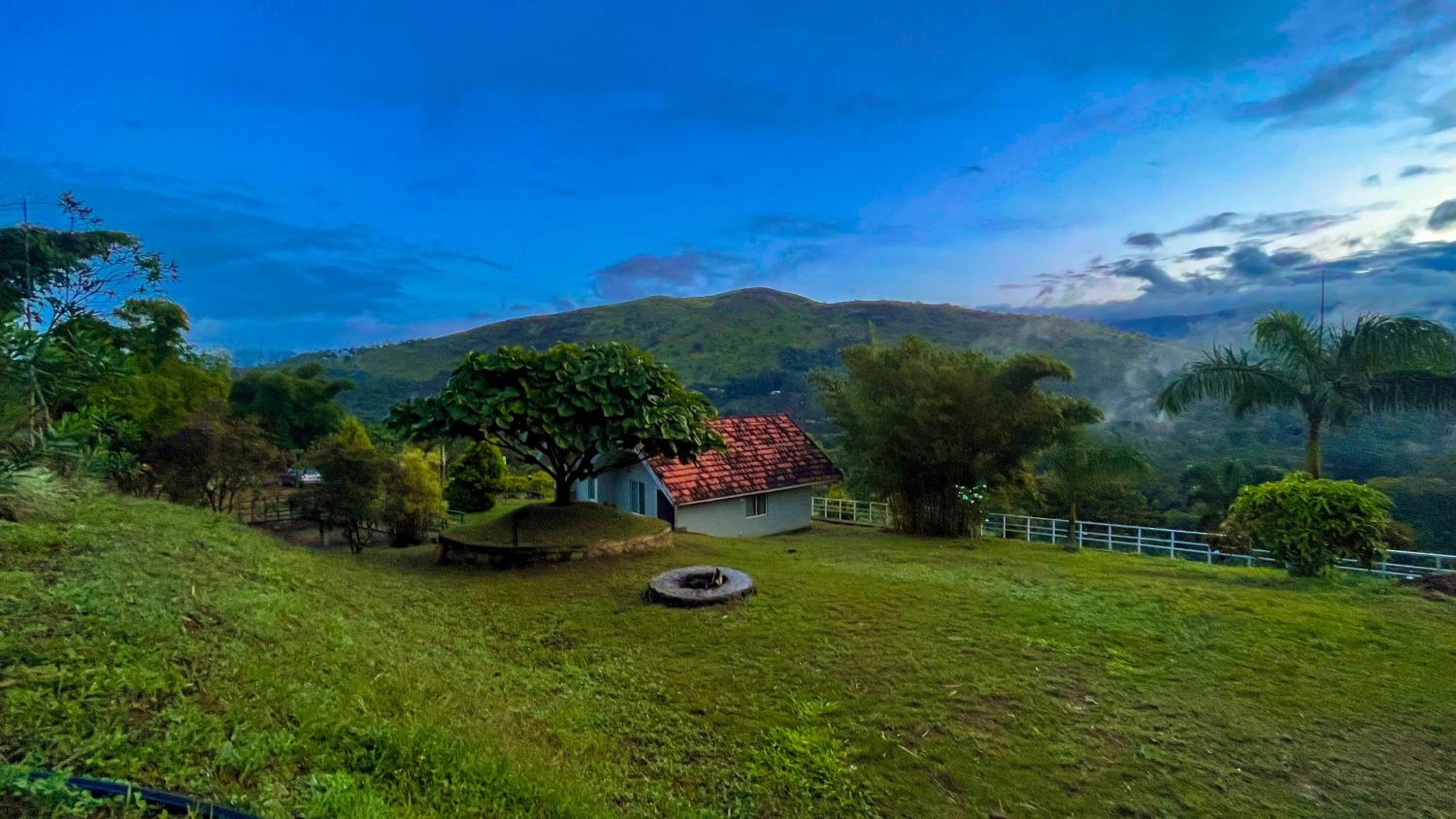 Elenor Cottages