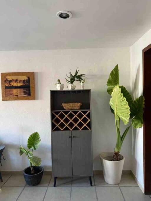 Hermoso Departamento En El Corazon de Todos Santos view 3