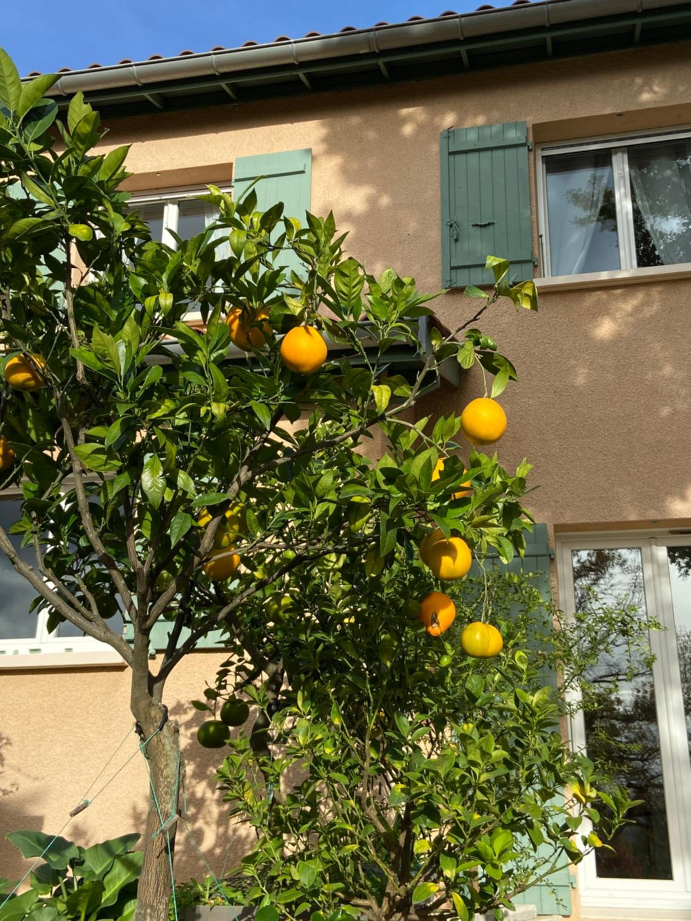 Photo 38