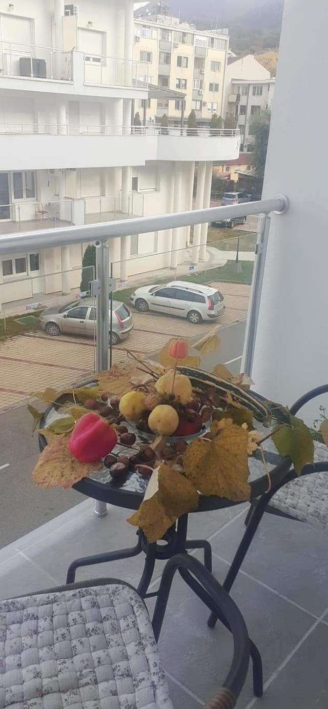 Djurdjica