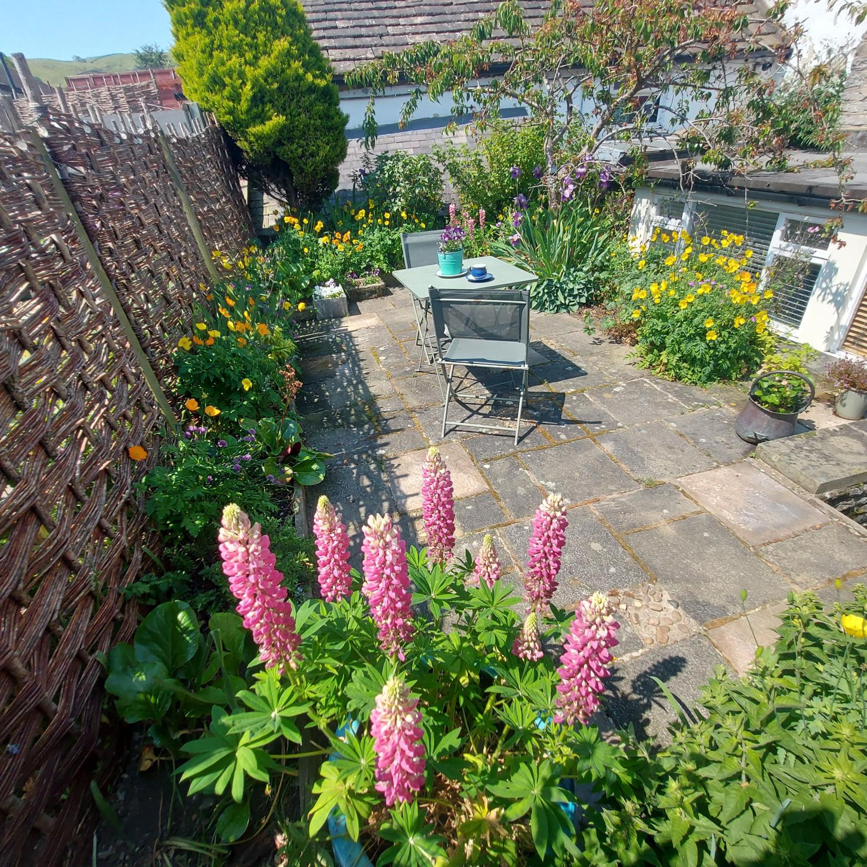 Beech croft holiday cottage view 3