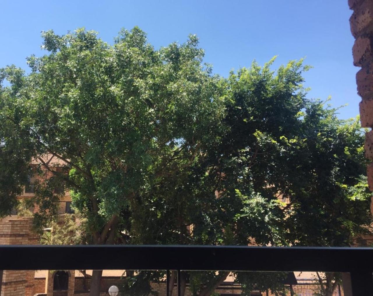 Studio Eazi view 3
