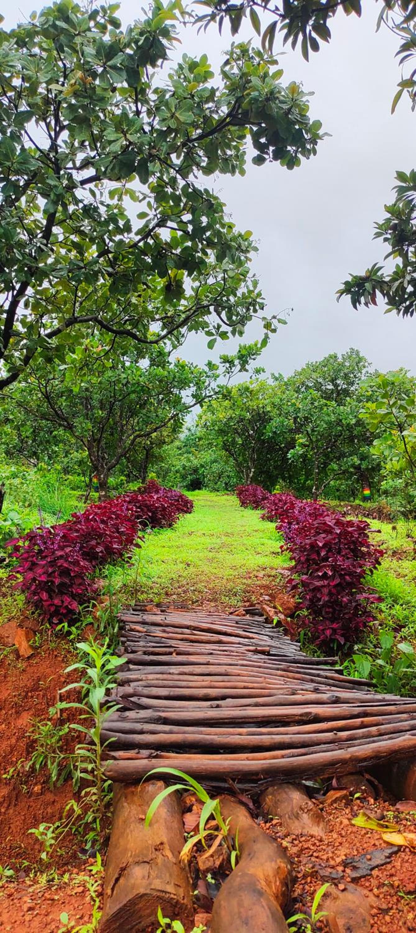 Chalobahills Farmstay Resort