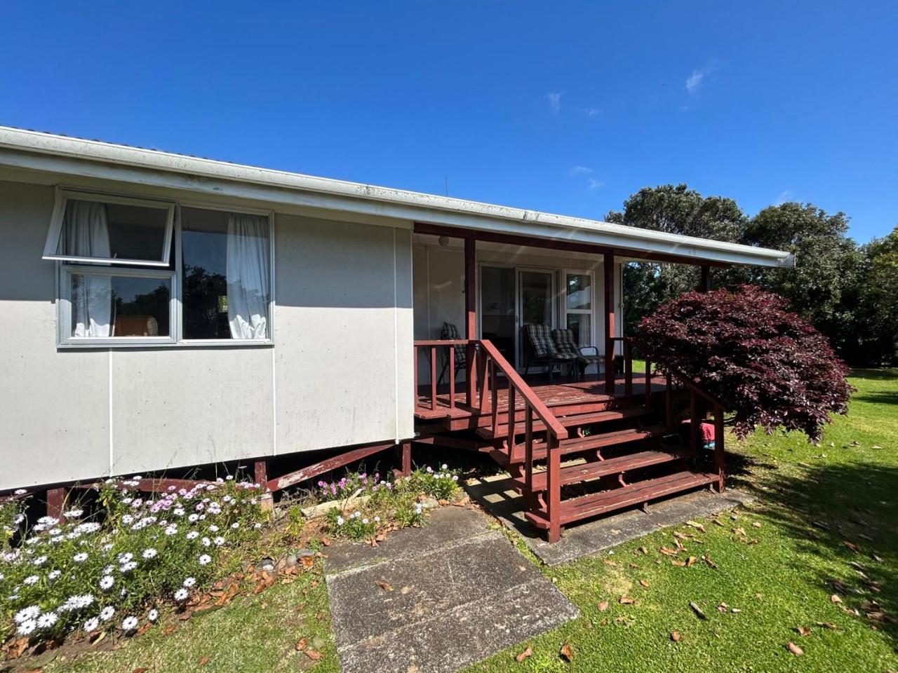 Kiwi Classic view 2