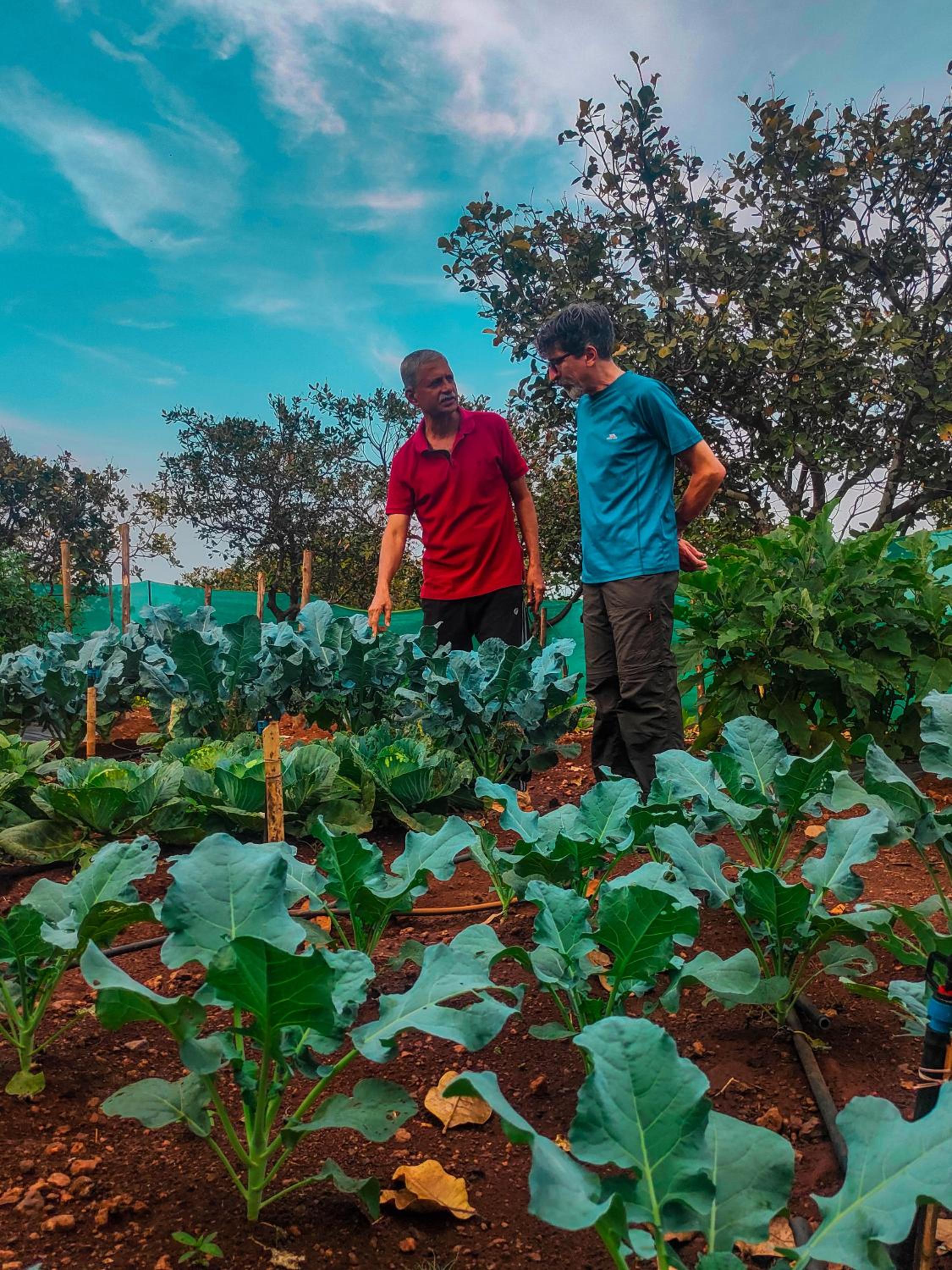 Chalobahills Farmstay Resort