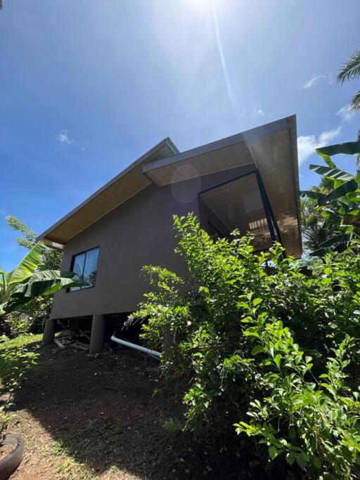 Casa Palmera