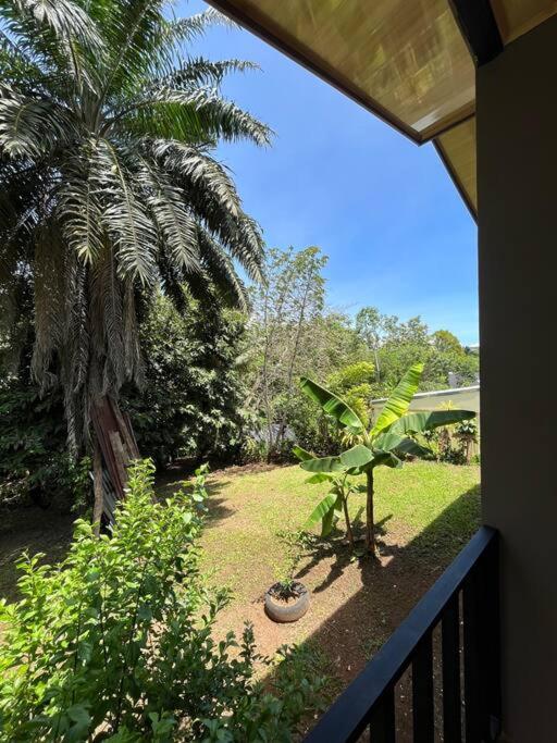 Casa Palmera