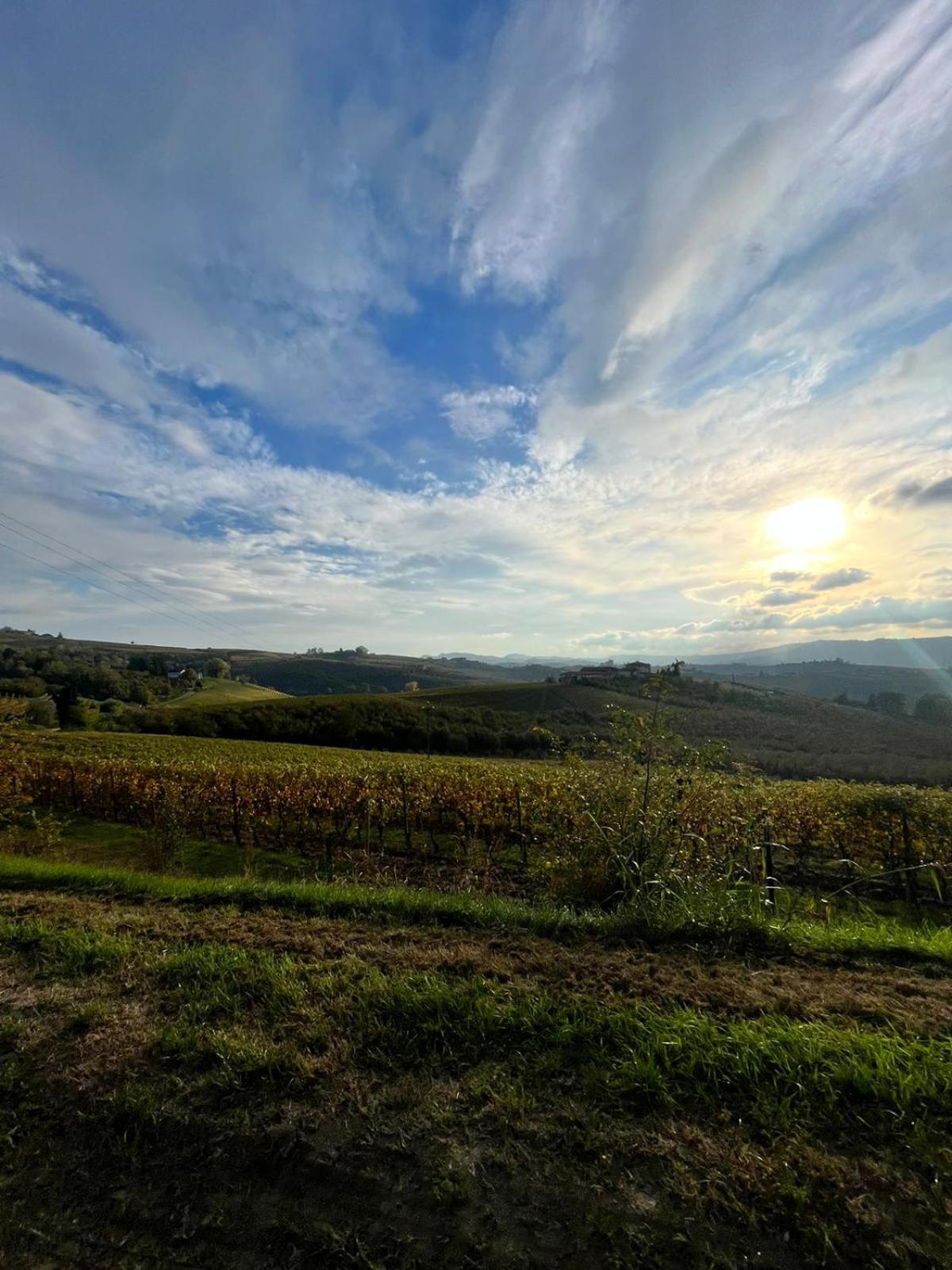 Langhe e Roero - Casa da Angela view 5