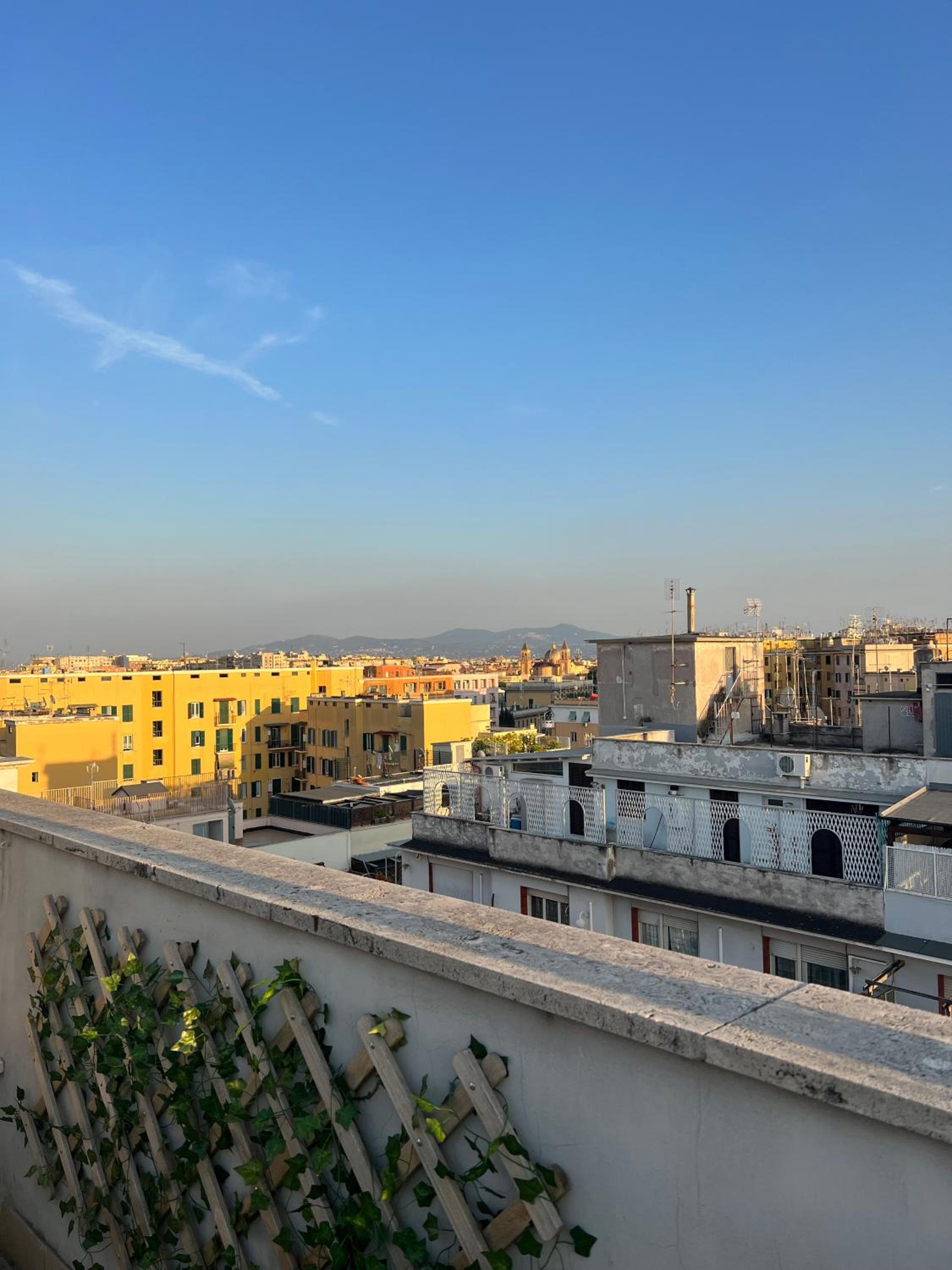 roof