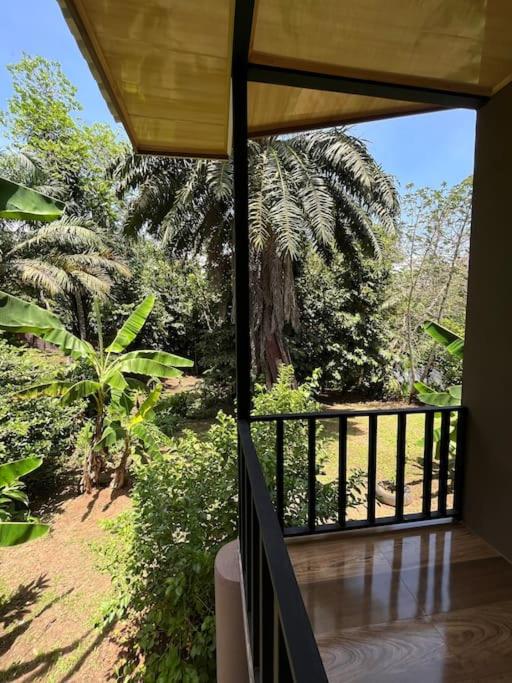 Casa Palmera