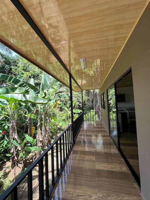 Casa Palmera