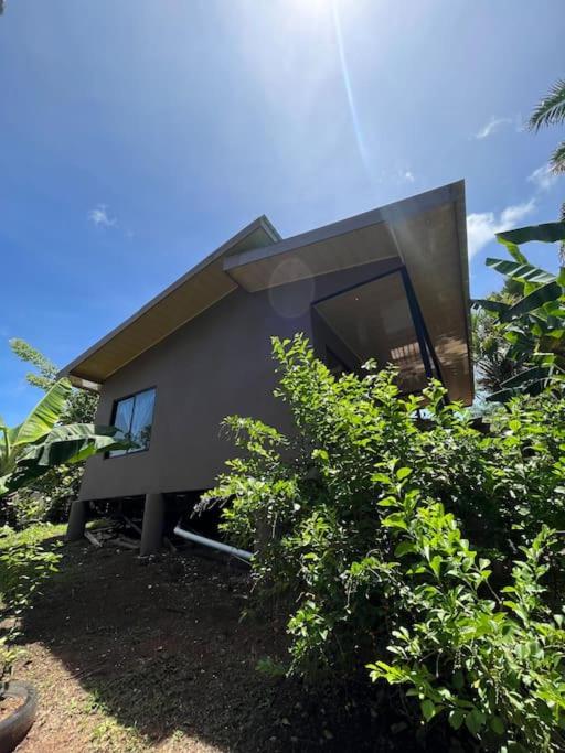 Casa Palmera