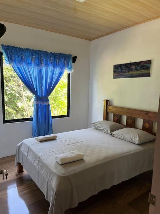 Casa Palmera