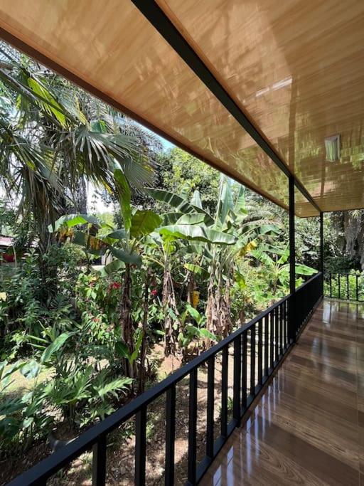 Casa Palmera