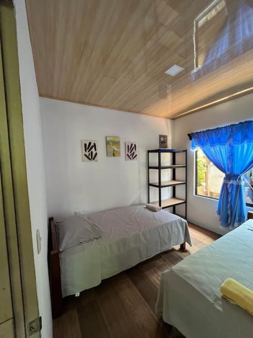 Casa Palmera