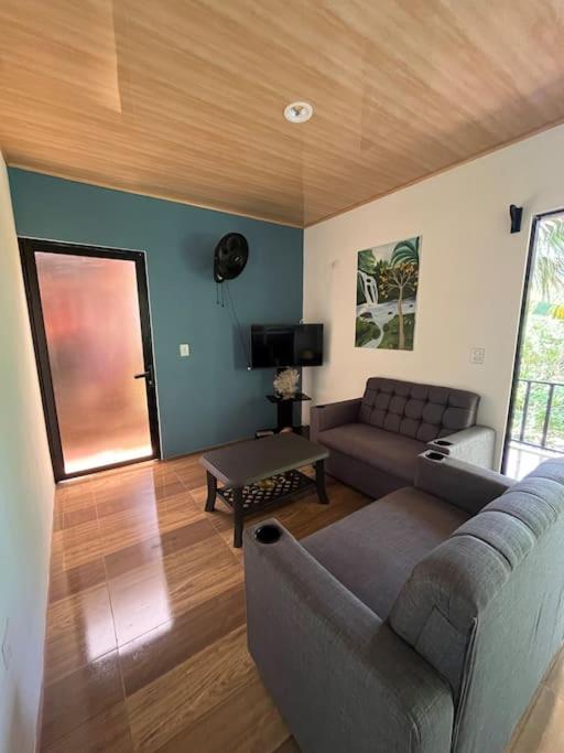 Casa Palmera