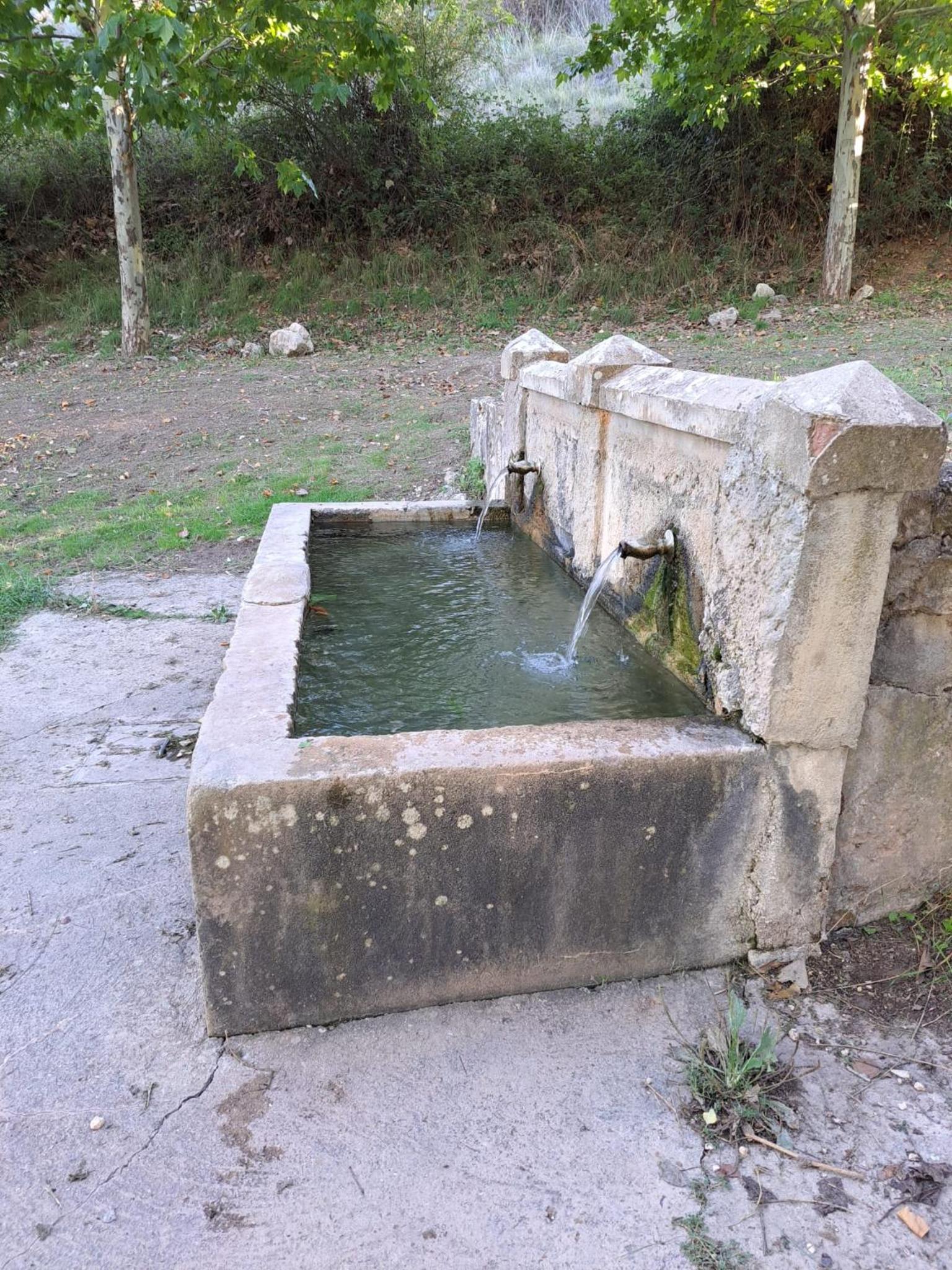 Photo 47