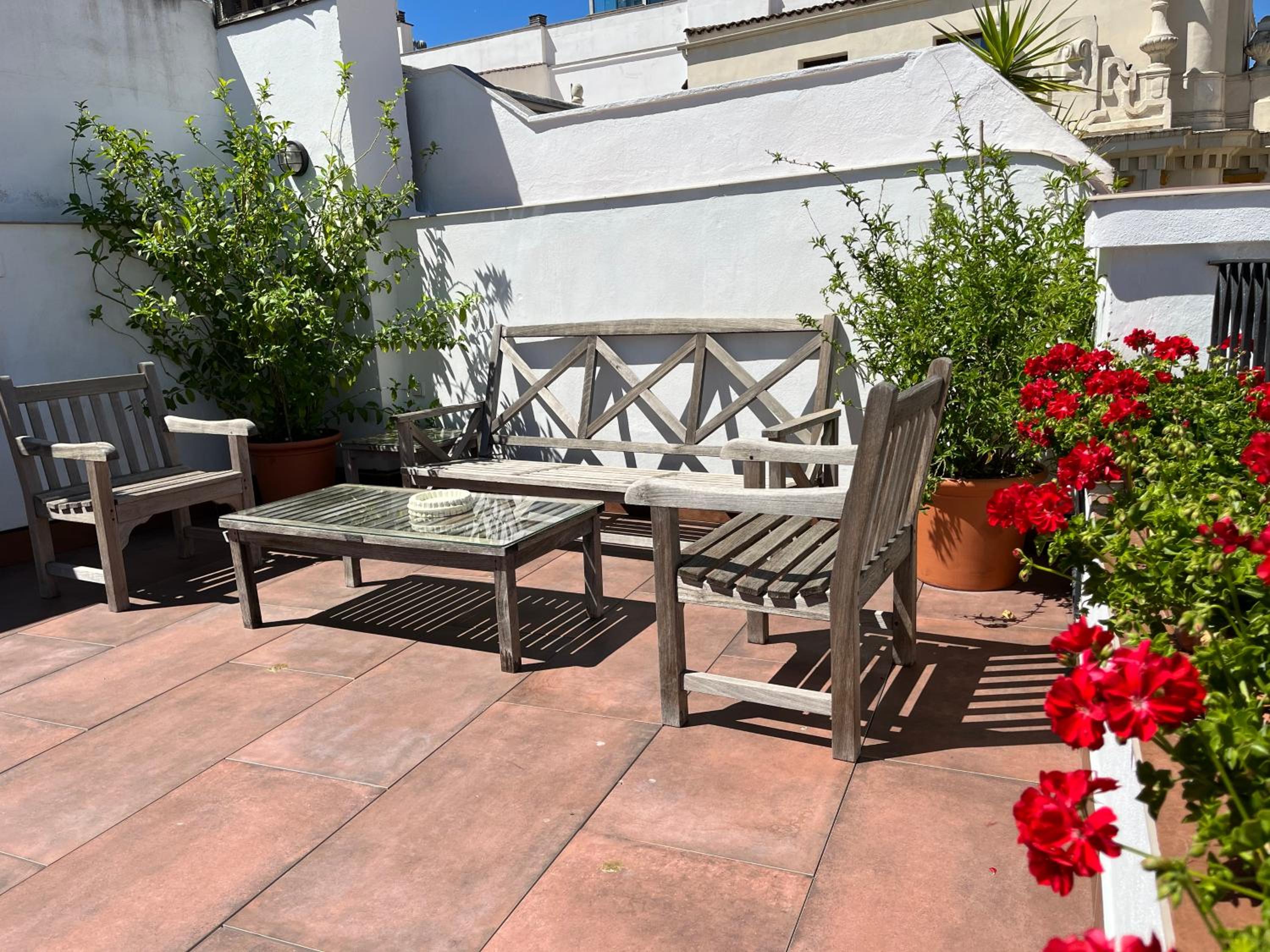 balance & terrace