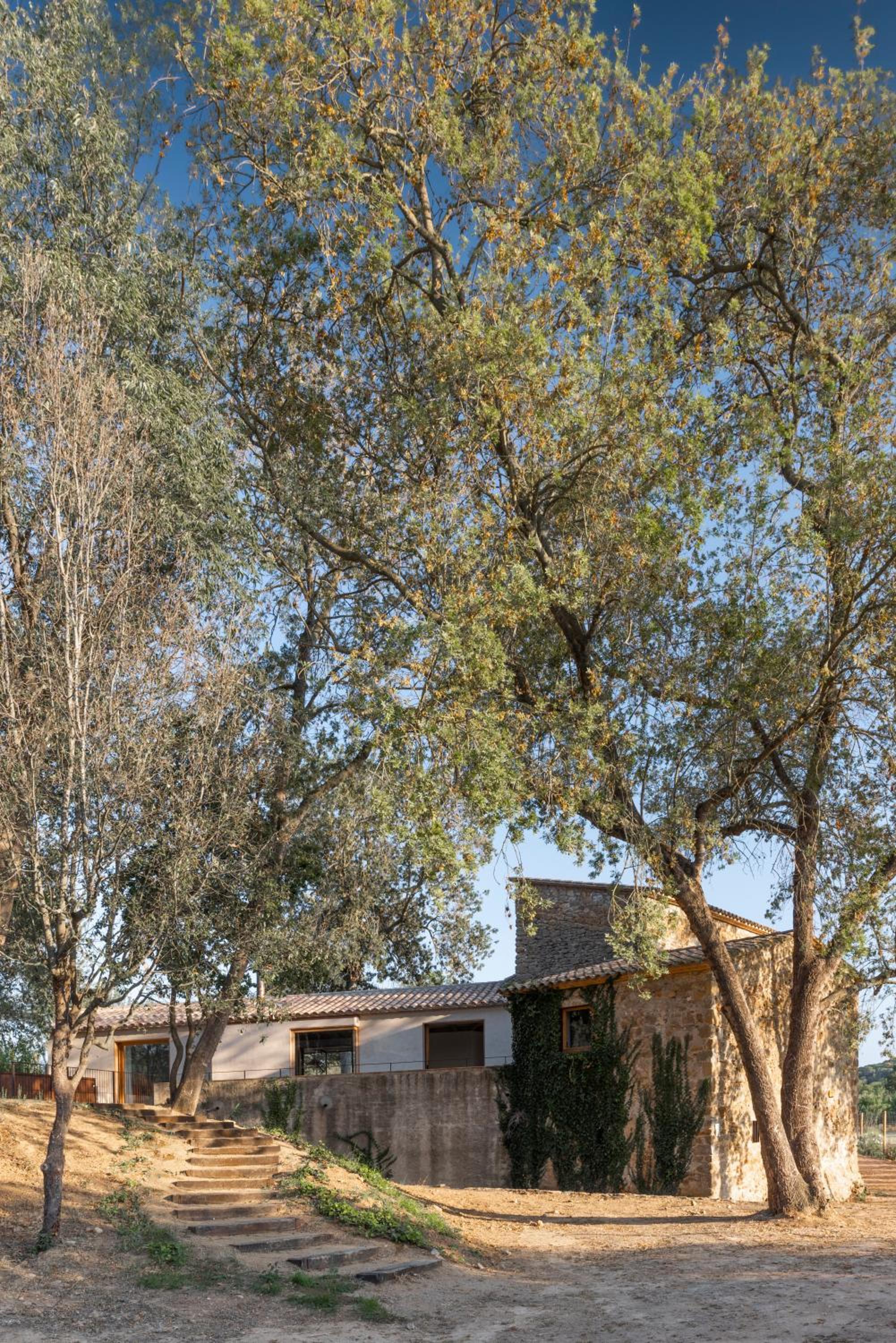 Molí Del Senyor