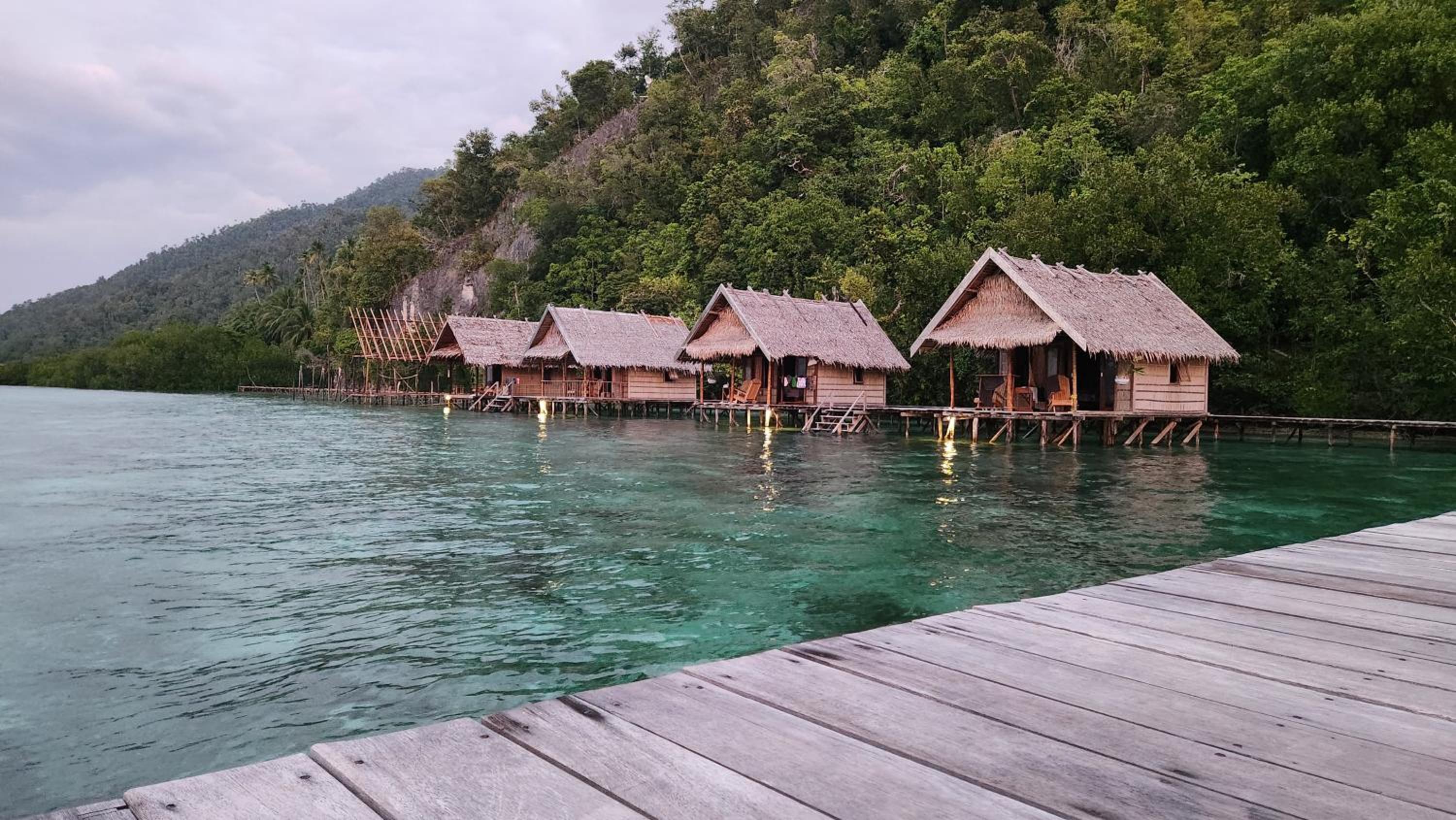 Terimakasih homestay