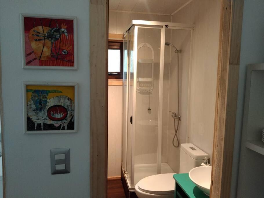 Linda Cabaña pet friendly a orilla rio y bosque, cerca Termas