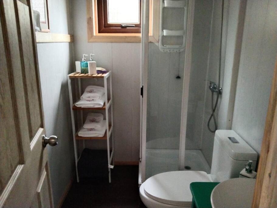 Linda Cabaña pet friendly a orilla rio y bosque, cerca Termas