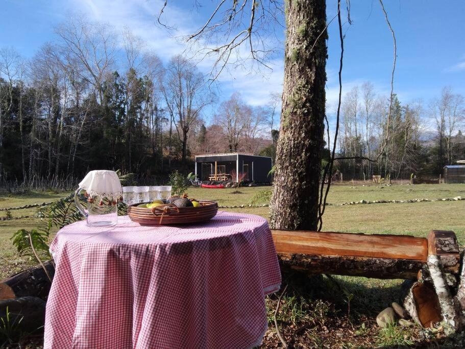 Linda Cabaña pet friendly a orilla rio y bosque, cerca Termas
