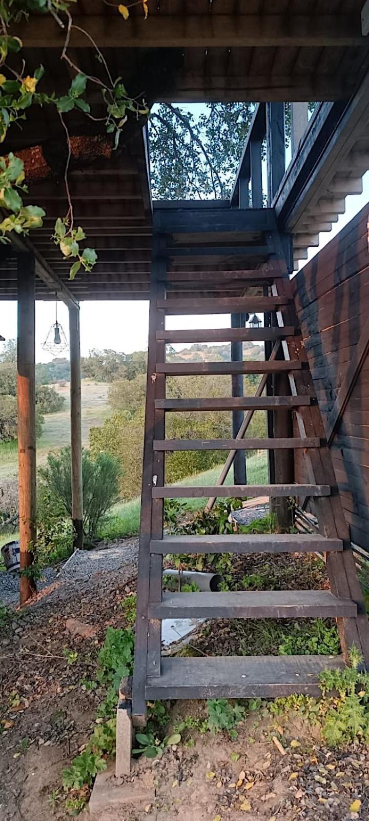 Cabaña en Arbol Quillay a 6Mts