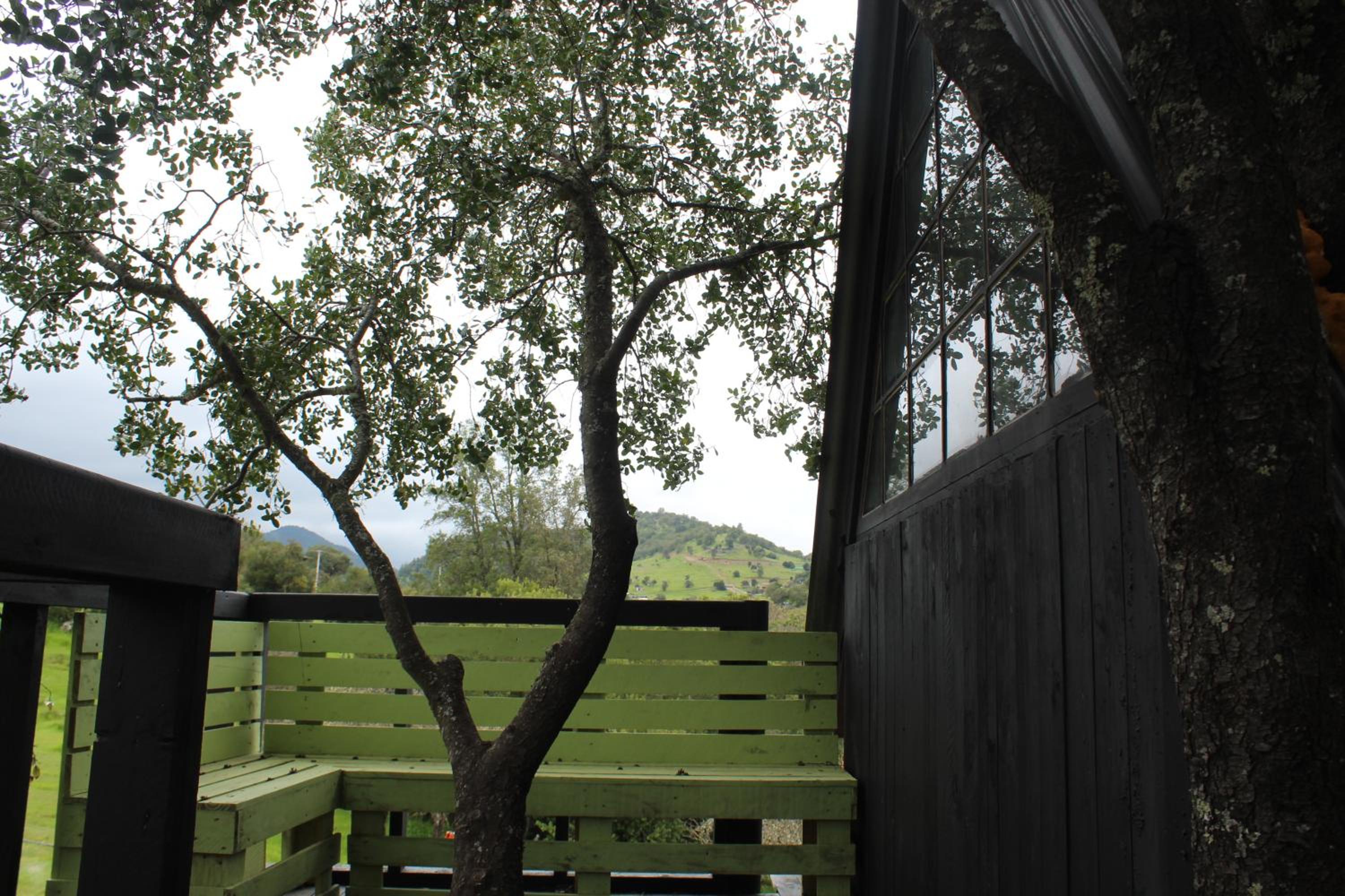 Cabaña en Arbol Quillay a 6Mts