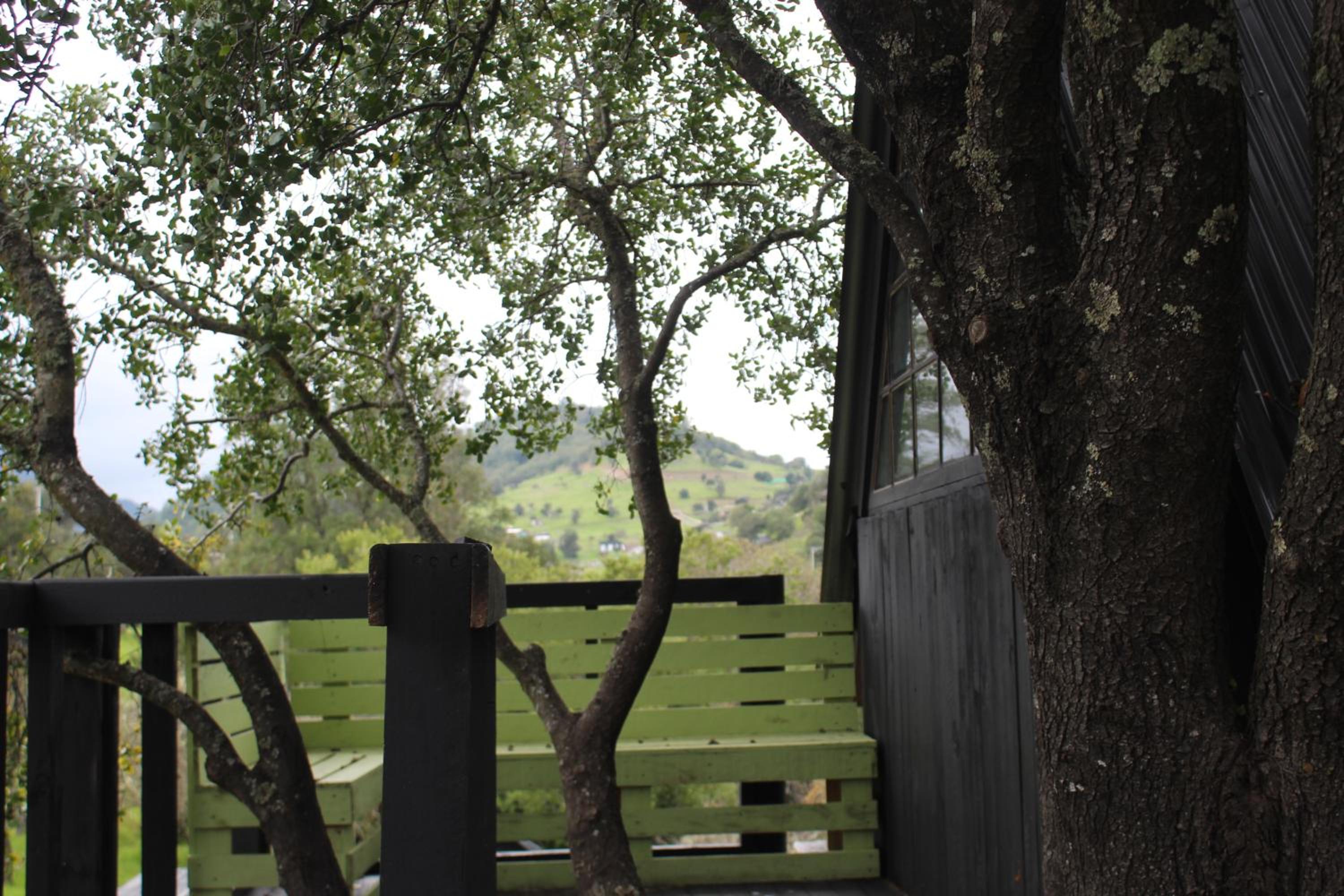 Cabaña en Arbol Quillay a 6Mts