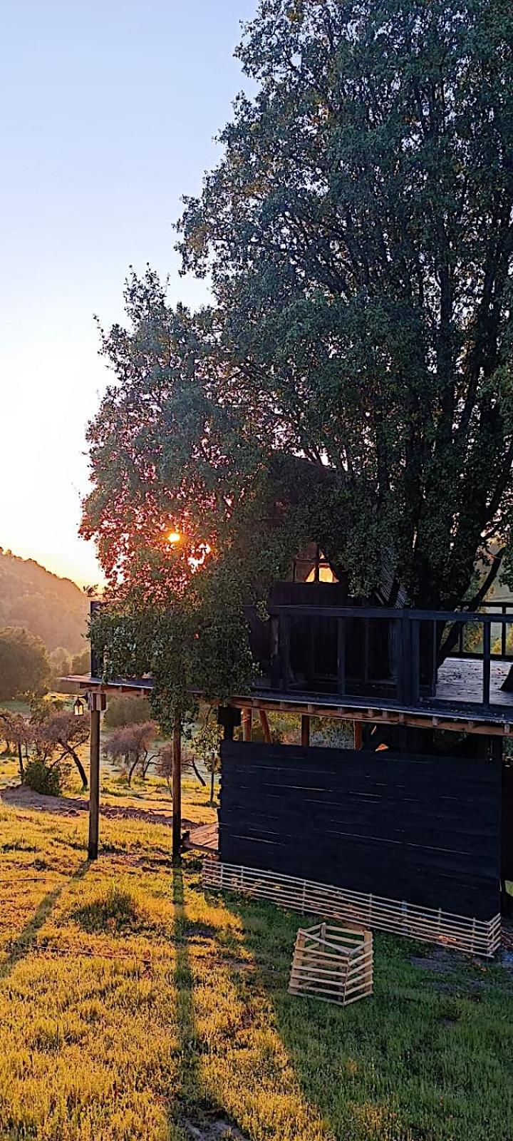 Cabaña en Arbol Quillay a 6Mts