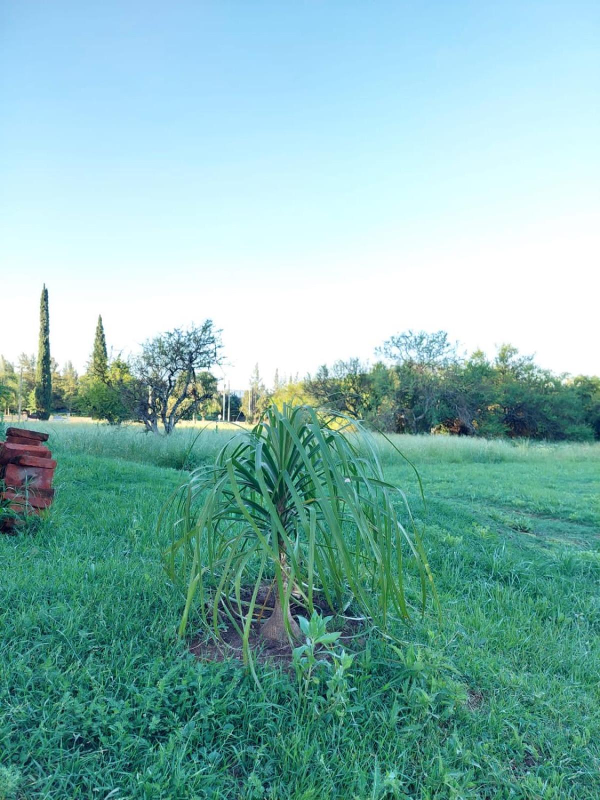 La casita del campo