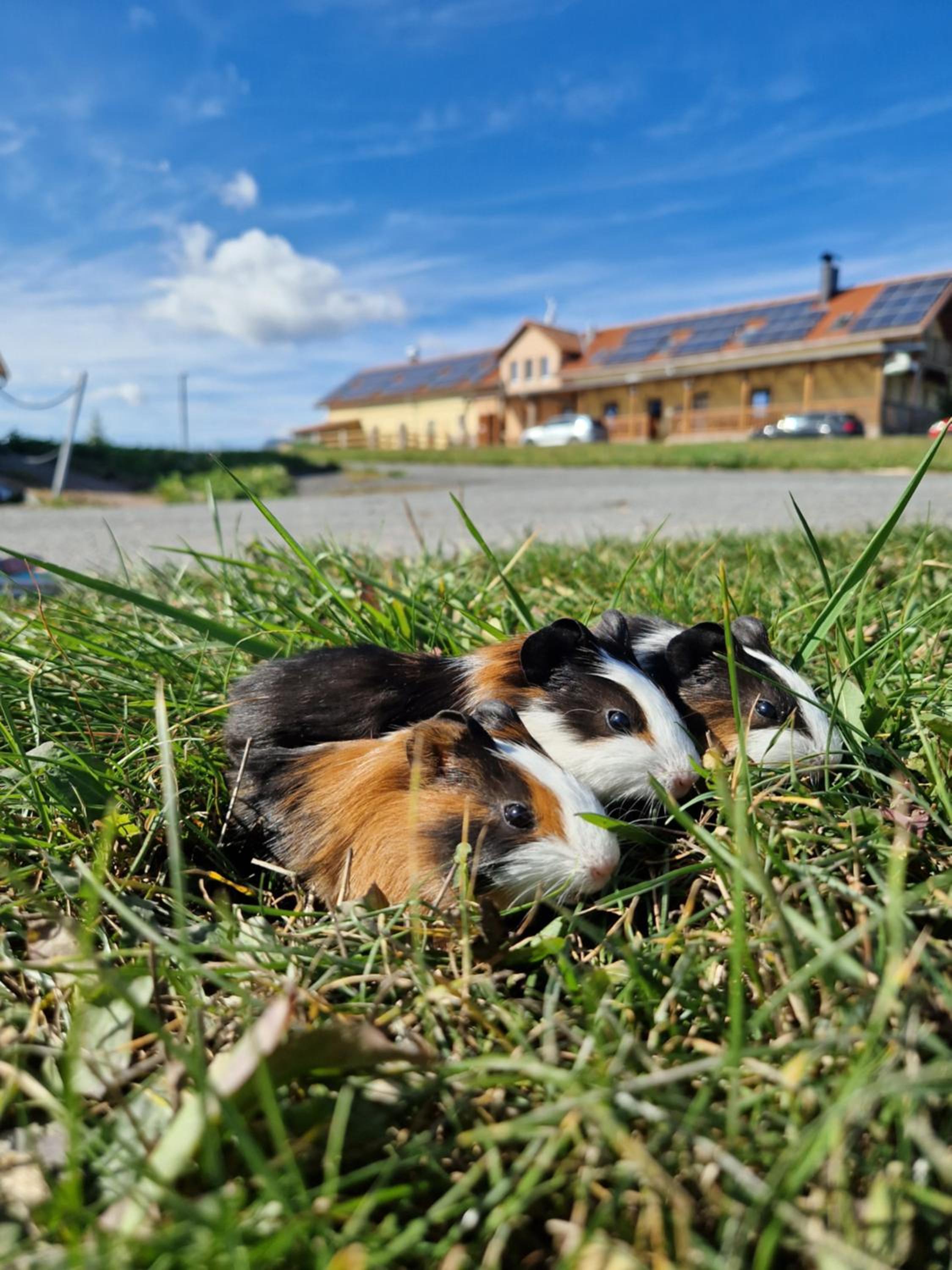 Pension Country Relax