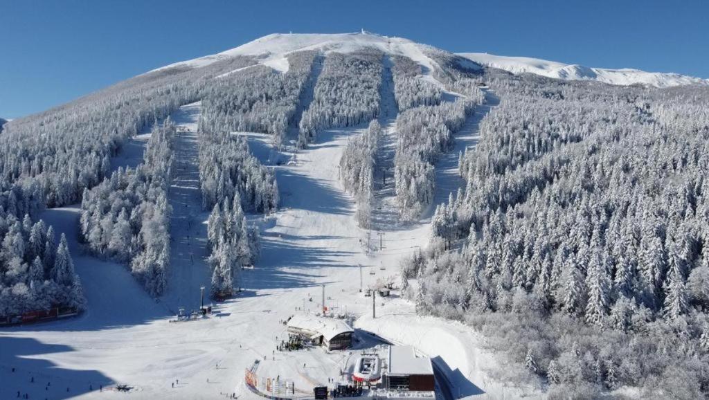 Virgin Forest Bjelašnica