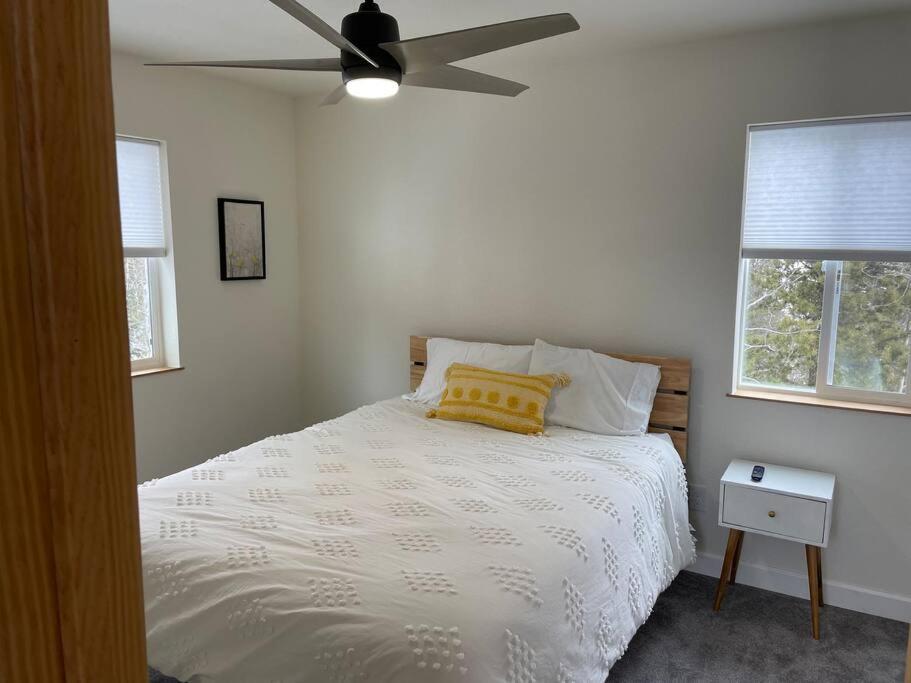 Modern Alma Home, Walk to Main St, Amazing Views, 16 mi to Breck! view 5