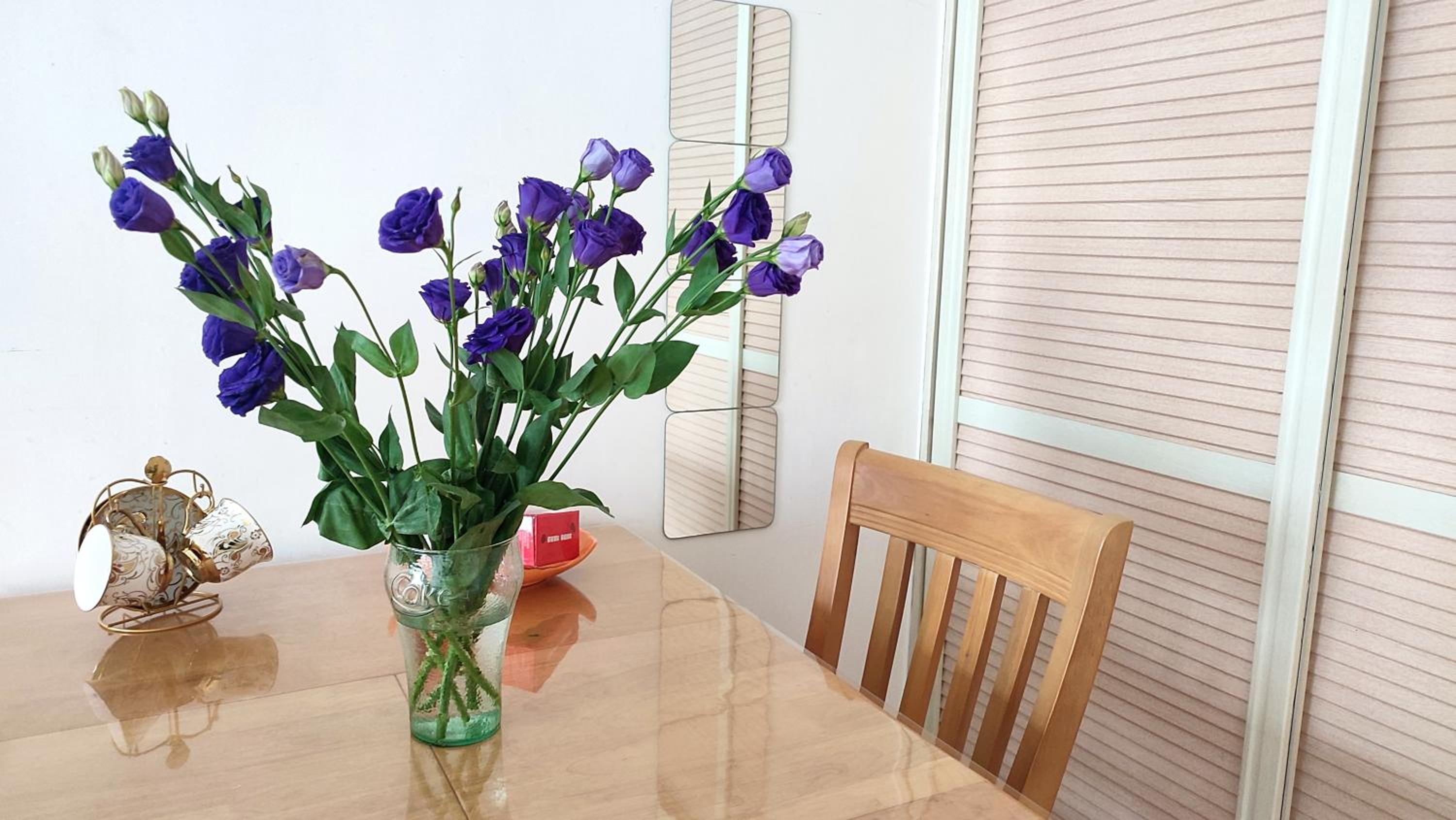 Lily's home
