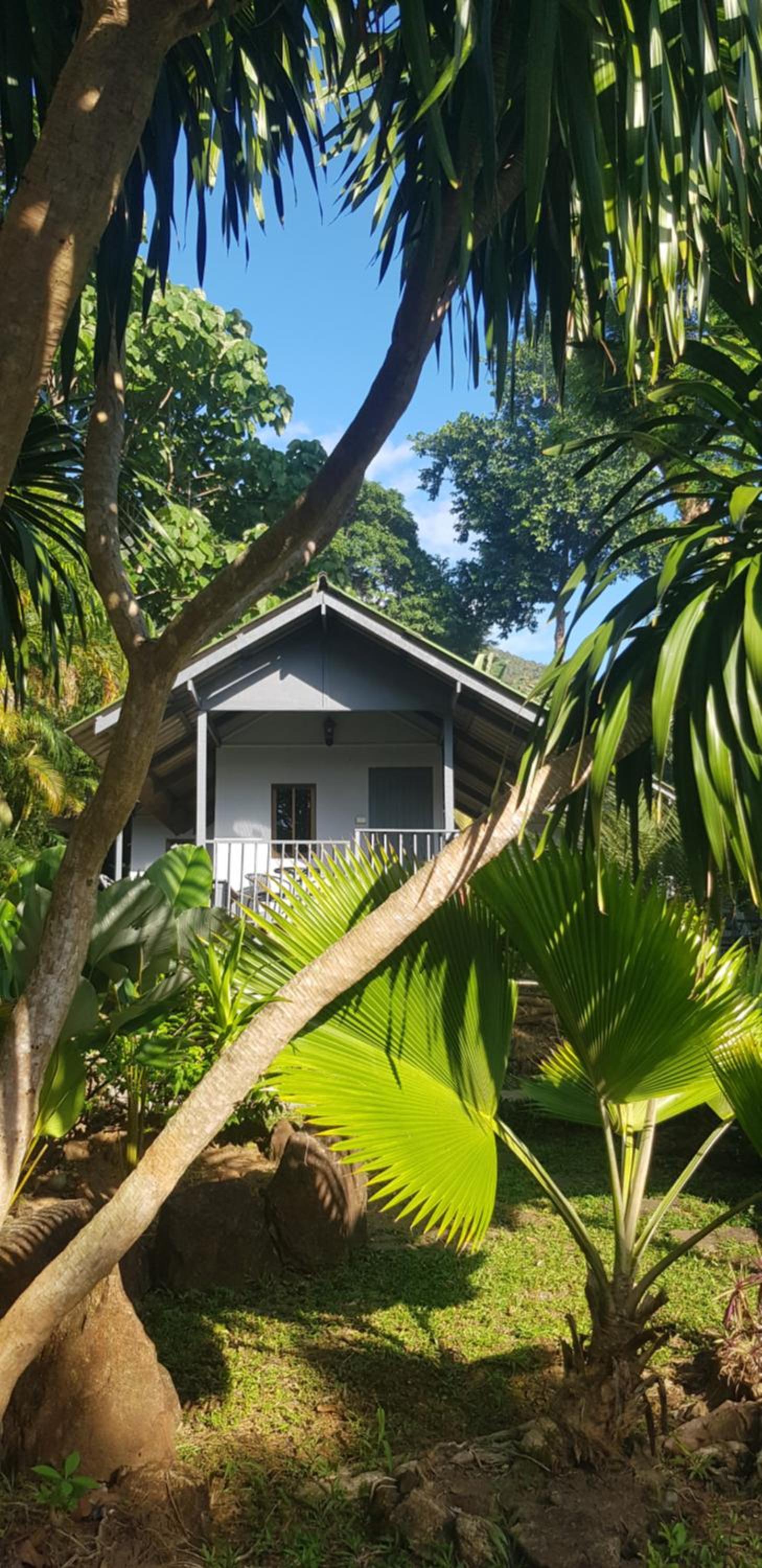 COCOON Koh Chang view 5