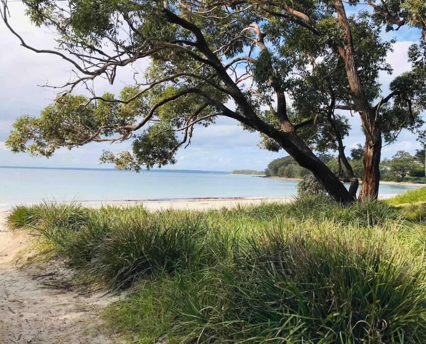 Large 1 Bedroom Apartment in Perfect Location