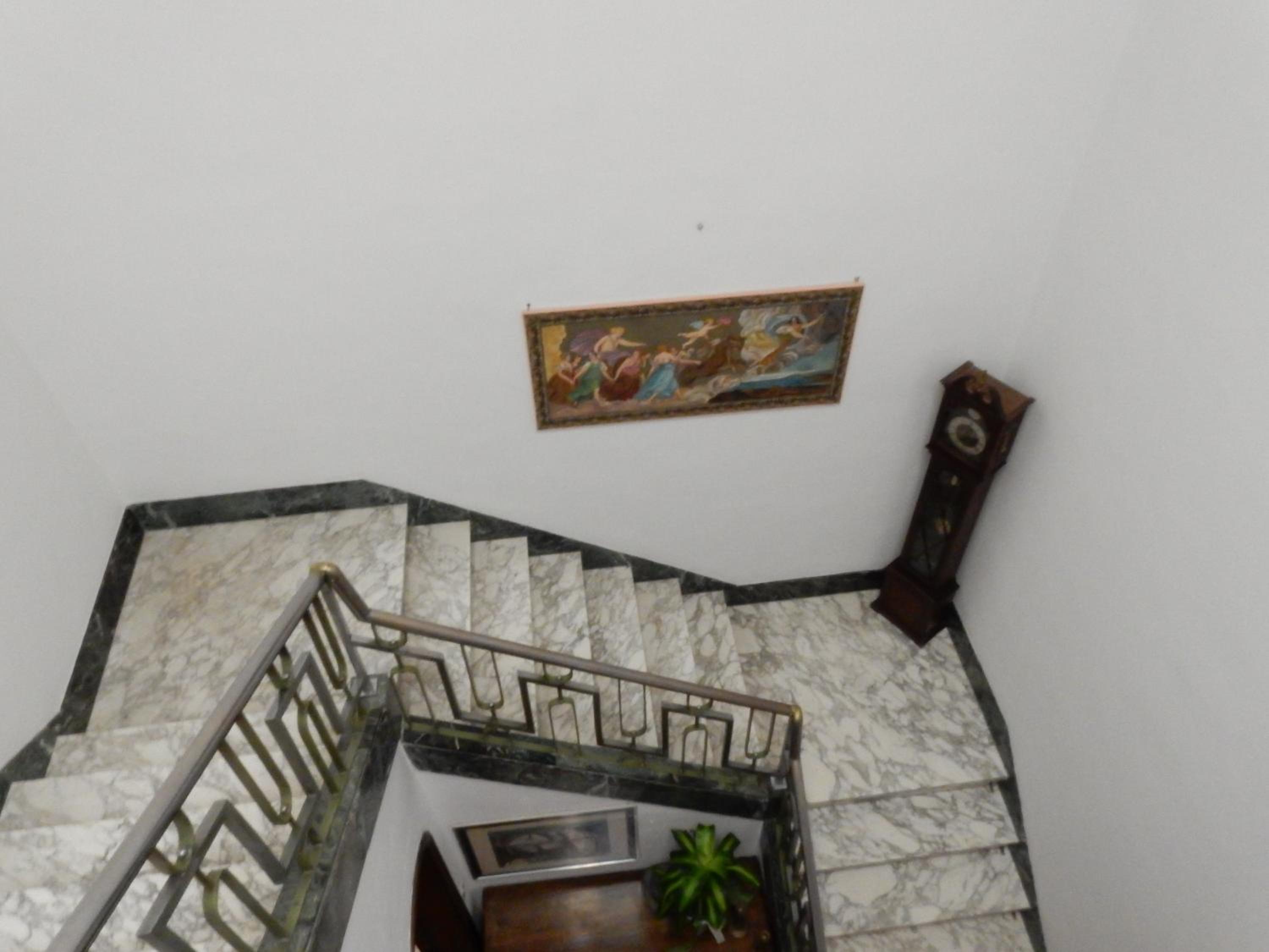Photo 51