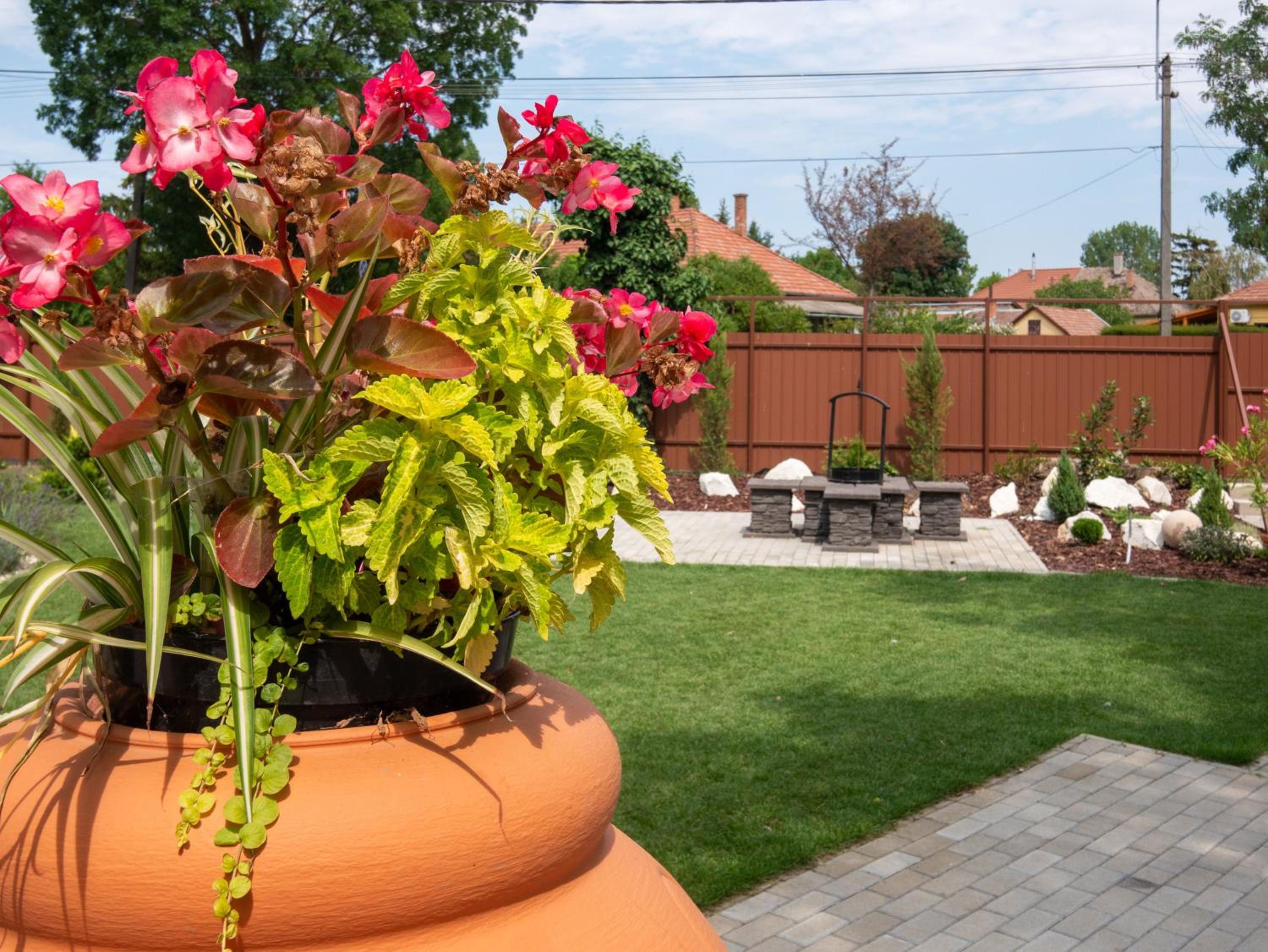 garden