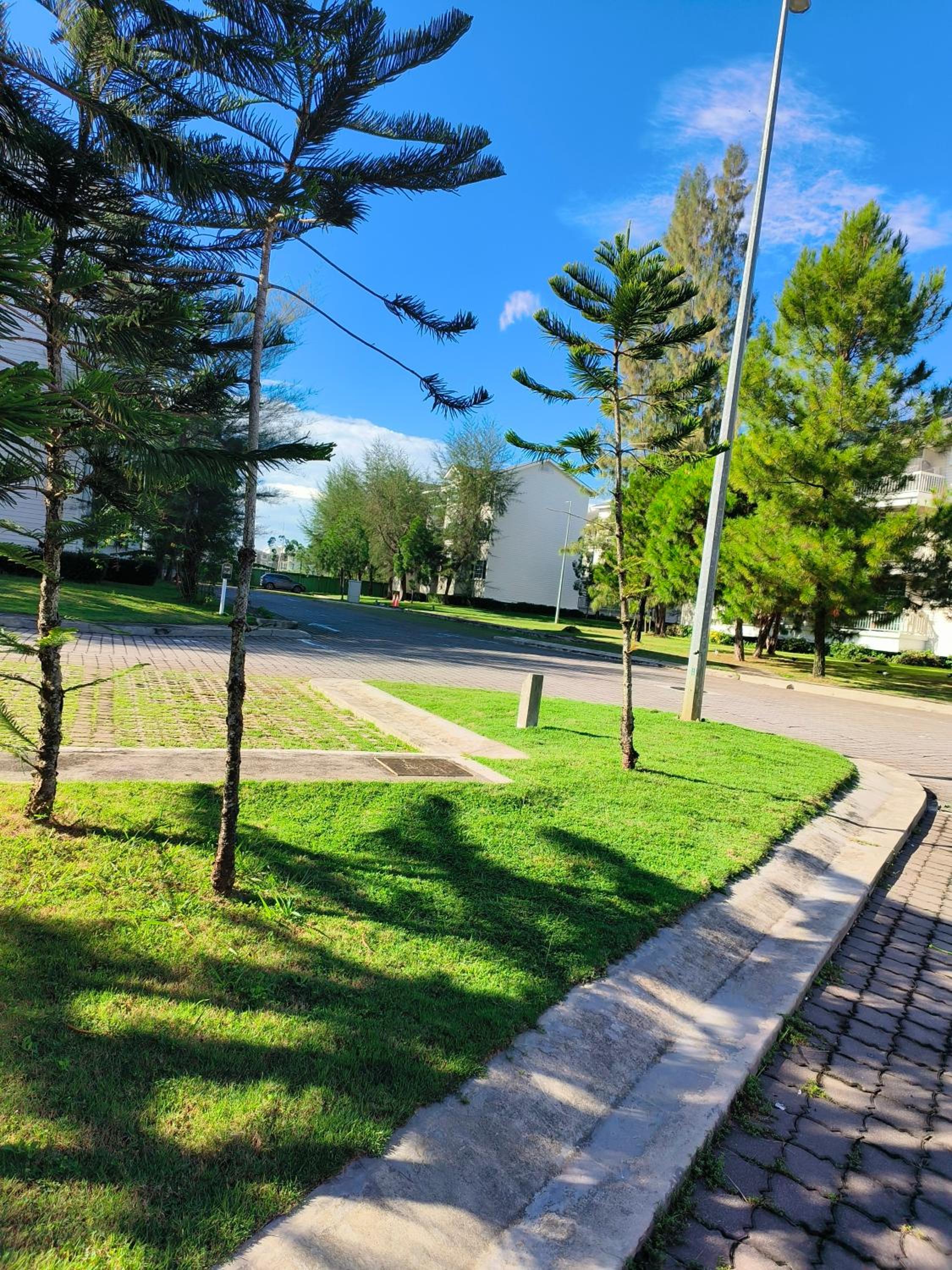 Photo 48