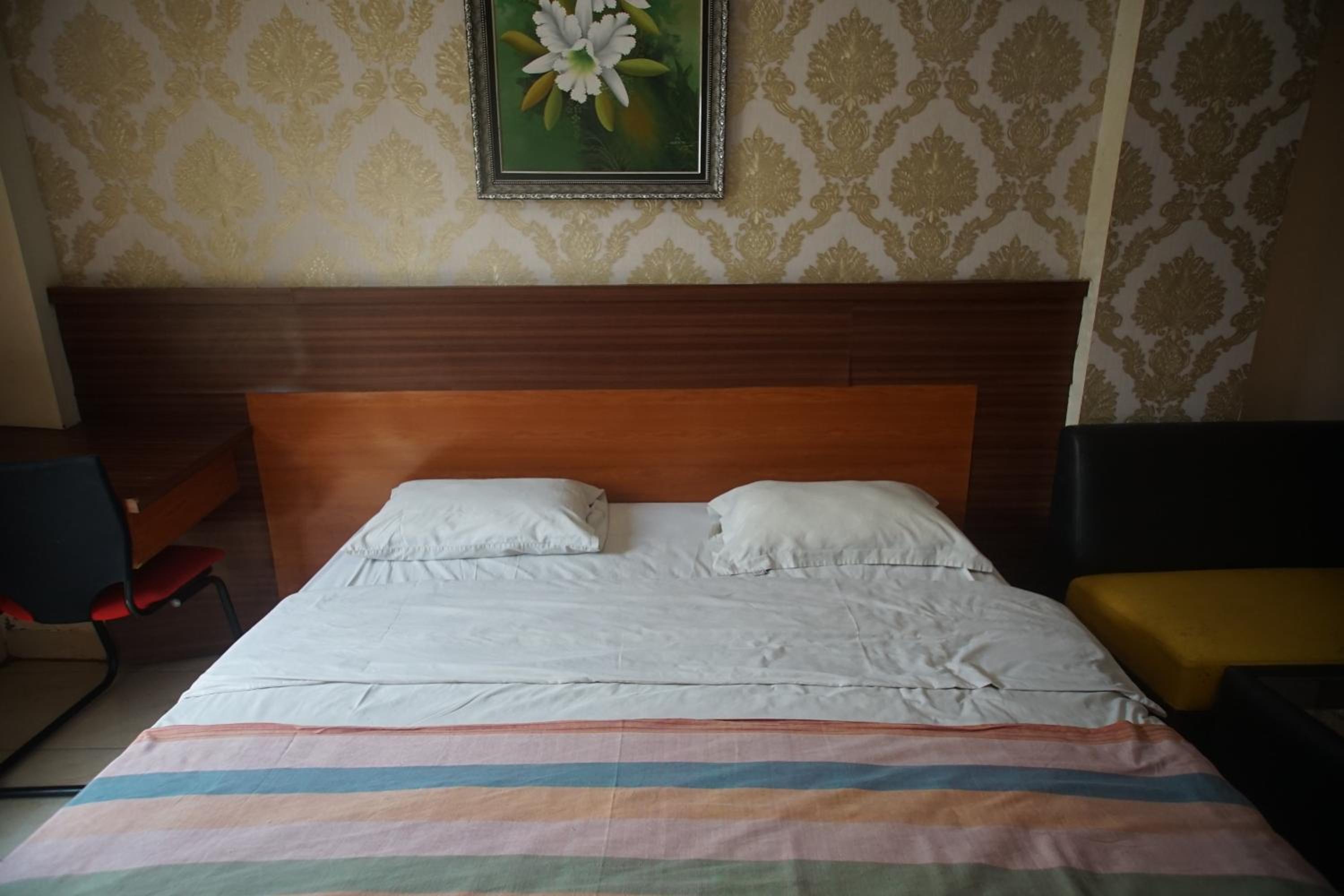 Pineapple Mansion Guest House Solo view 3