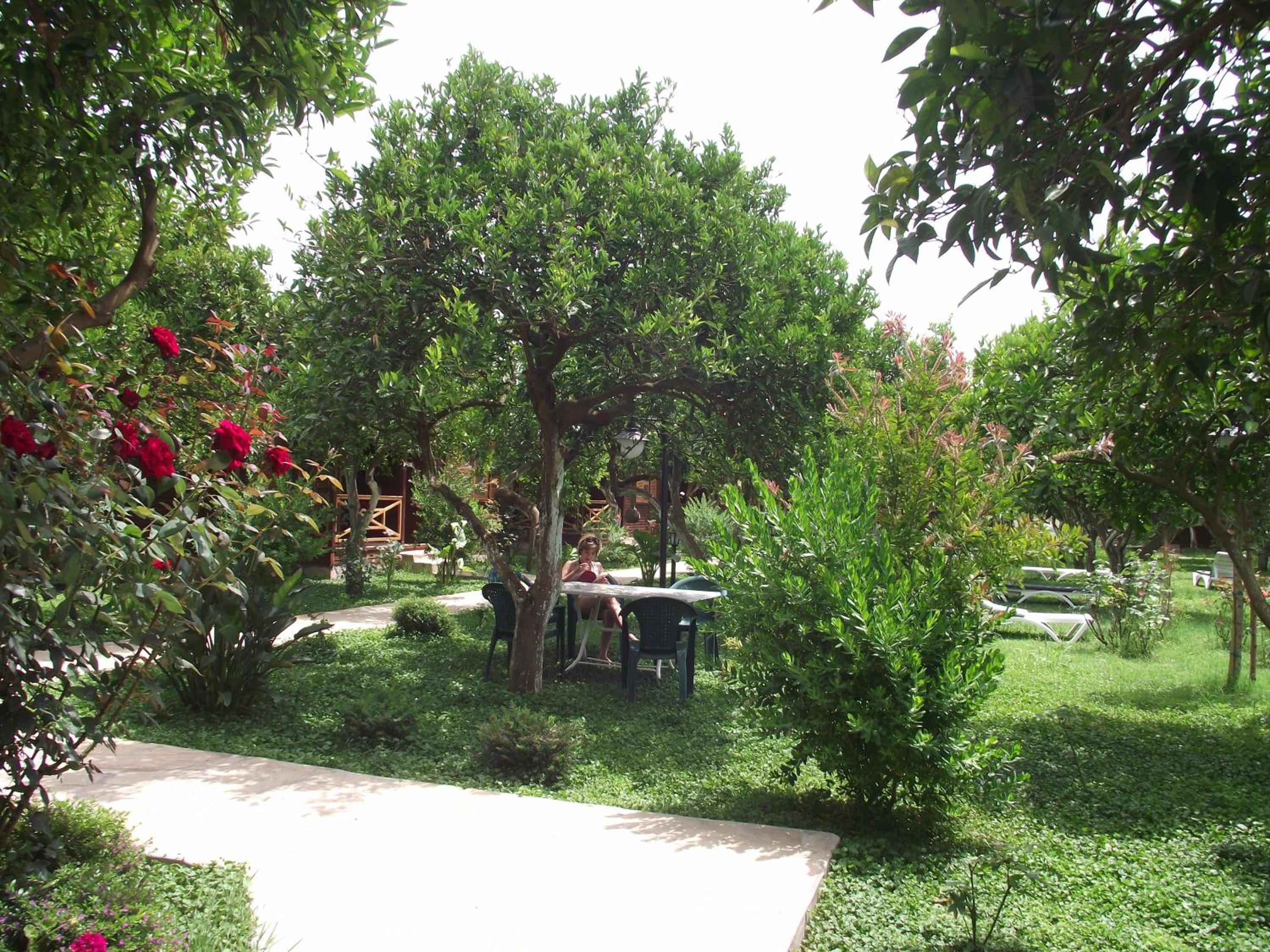 Mercan Bungalow